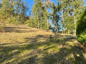 Appartements Le Logis d-Eve : photos des chambres