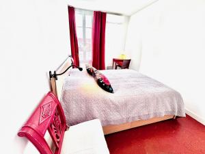 ApartHotel Riviera - CLOCHER DALEXANDRE - Old Town - Promenade des Anglais