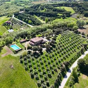 Agriturismo Il Gonzeto, Montepulciano - Sant'Albino