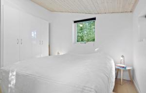 Amazing Home In Toftlund With Wifi