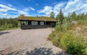 Pet Friendly Home In Rena With Wifi - Blikkberget