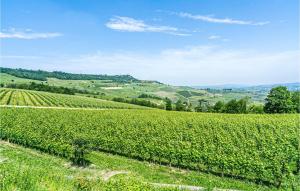 Pet Friendly Home In Vignale Monferrato