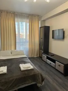 1 комнатная со всеми удобствами - Zhanaturmys