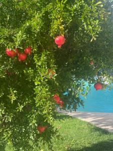 Maisons de vacances Confortable Villa with pool 4BR 6-8 people : photos des chambres