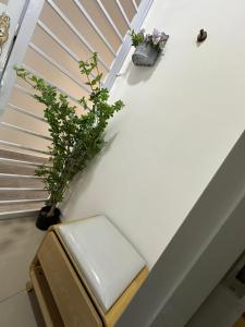 New Conform Muji Style Studio
