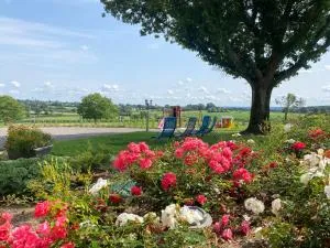 Maison de Campagne 15 couchages - Longmesnil