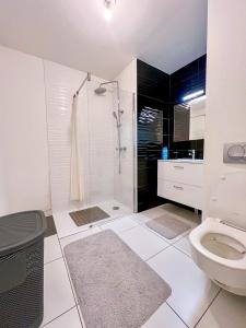 Chouette appartement près de lArena et de la Gare Centre de Reims