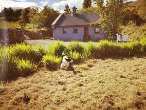 Mountain Cottage with Barn Sauna, Clonbur, Galway