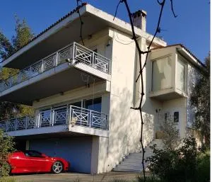 Spacious Beach House Villa 35min from Athens - Sikáminon