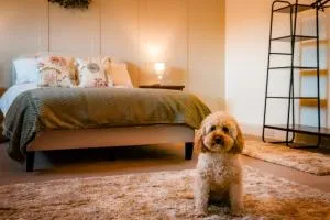 Old Orchard Cottage, Wykeham - Hutton Bushel