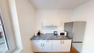 3-Raum-Appartement im Lutherviertel, WLAN