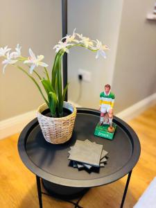 Boru Walk Townhouse -Stylish & Modern Holiday Home