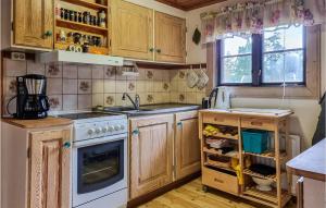 Amazing Home In Olsfors With Kitchen