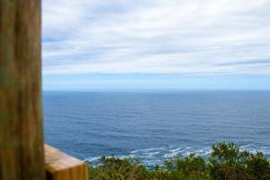 The Hive - Jungle at Misty Mountain Reserve