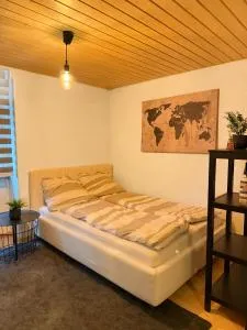 Citycenter Apartment with Parking - 埃门