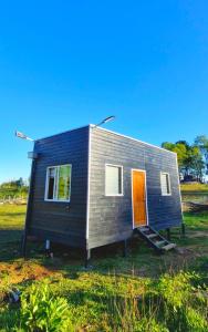 Tiny estrella sur y tinaja