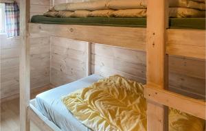 Awesome Home In Grue Finnskog