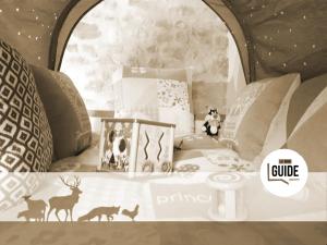 Maisons d'hotes Odyssee-Auvergne : photos des chambres