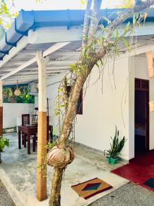 House Of Paradise