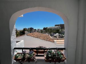 Lovely Studio in Pueblo Evita