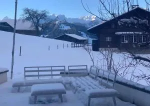 Ski in Duplex Chalet - Saanenmöser-hágó