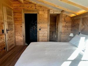 Ski in Duplex Chalet