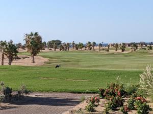 Stylish Seaview 2BR Soma bay Villa with Free Pool & Beach