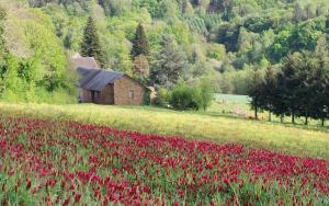 Maisons de vacances ArcenFrance : photos des chambres