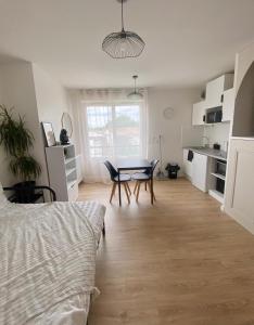 Appartements Appartement T1 Colomiers proche AIRBUS : Appartement 1 Chambre