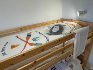 Appartements Appartement cosy dans une maison de caractere : photos des chambres