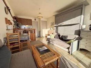 Studio ski-in/ski-out à Notre-Dame-de-Bellecombe, piscine, tennis, parking - 4 personnes - FR-1-595-3 - Saint-Nicolas-la-Chapelle