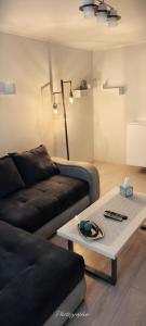 Apartament modern