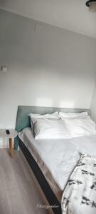 Apartament modern
