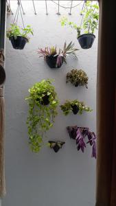 Apartamento mobiliado no centro, Siqueira Campos,