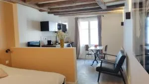 Cœur de Chinon, tout confort ! - 希农