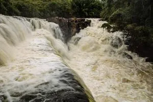 Rio Life - 伊塔佩米林河畔卡舒埃鲁