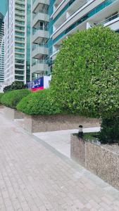 Panoramic Marina View