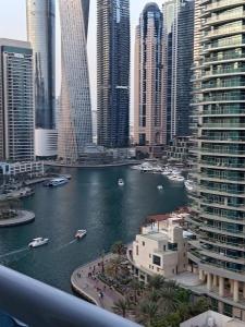 Panoramic Marina View