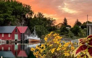 Beautiful Home In Torangsvåg With House Sea View - Bekkjarvik