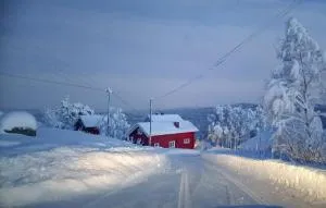 Gorgeous Home In Svingvoll - Tretten