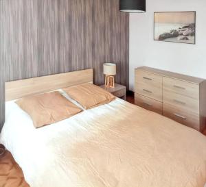 Maison avec jardin à Vierzon