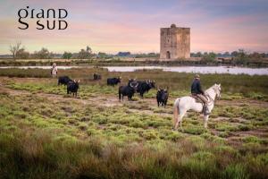 LANCRE MARINE - Appartement 2 chambres avec parking proche de la plage