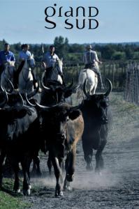 LE MATHILDE - Appart 1 chambre Vue dégagée proche de la plage avec parking