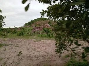 AFRICAN EXCELLENCE TOURs & ADVENTURE - Otse