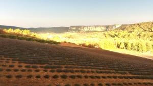 Villas Villa spacieuse a Lioux avec piscine privee et vue montagne : photos des chambres