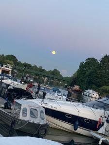 Stunning Classic Dutch Barge near Henley & Marlow