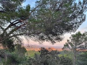 Villages vacances Les Garrigues de la Vallee des Baux : photos des chambres