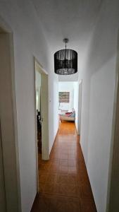 Carnaval 2025 na Graça 400m shopping Barra