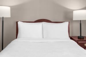 Studio Suite with Queen Bed - Disability Access with Roll In Shower room in Larkspur Landing Bellevue - An All-Suite Hotel
