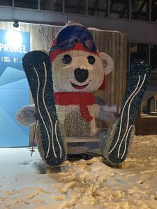 Appartements Pieds des pistes Briancon Prorel - Serre Chevalier : photos des chambres
